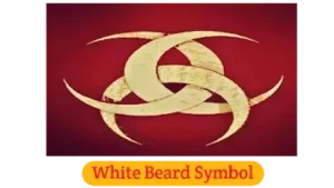 Turkish Secret Organization | White Beards in Dirilis Ertugrul