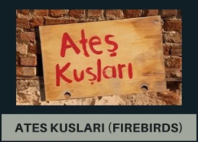 Ates Kuslari (Firebirds) Drama Story, Release Date and Cast Details