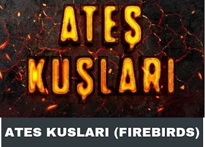 Ates Kuslari (Firebirds) Drama Story, Release Date and Cast Details