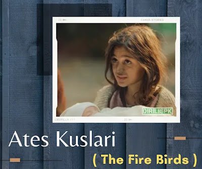 Ates Kuslari (Firebirds) Drama Story, Release Date and Cast Details