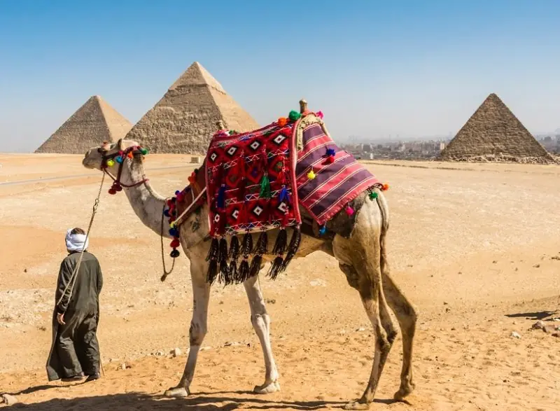 An Egyptian guide stands in front of the pyramids of Giza
