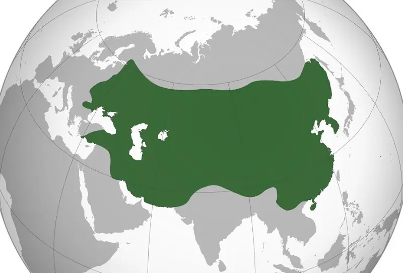 The territory of the Mongol Empire at its peak